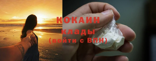 гашик Кулебаки