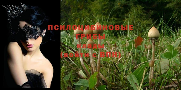 ешки Краснослободск
