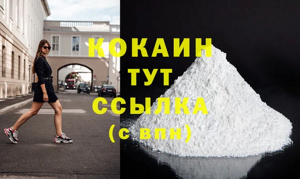 гашик Кулебаки