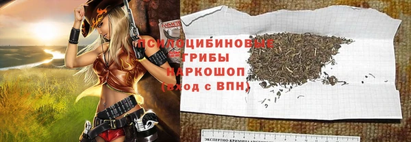 шишки Мурманск