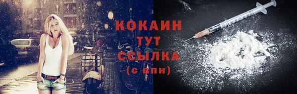 мдпв Кукмор