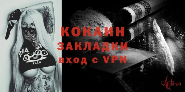 гашик Кулебаки