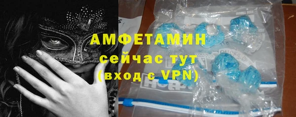 гашик Кулебаки