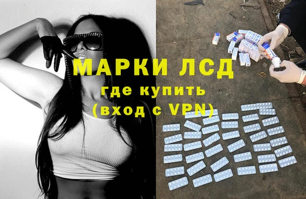 гашик Кулебаки